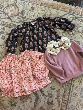 Girls 3t Bundle Pink Chicken Floral Peasant Tops and Zara Embroidered Top